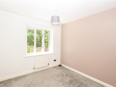 Picture 27